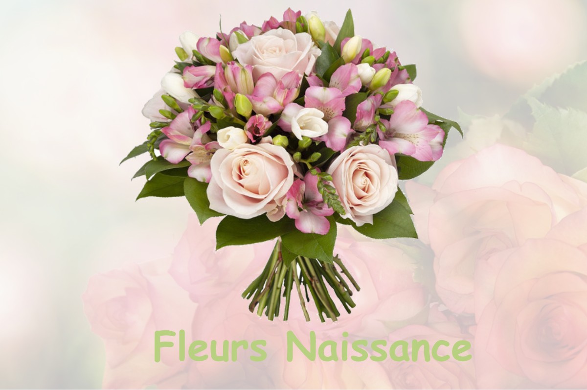 fleurs naissance LA-FERRIERE-HARANG